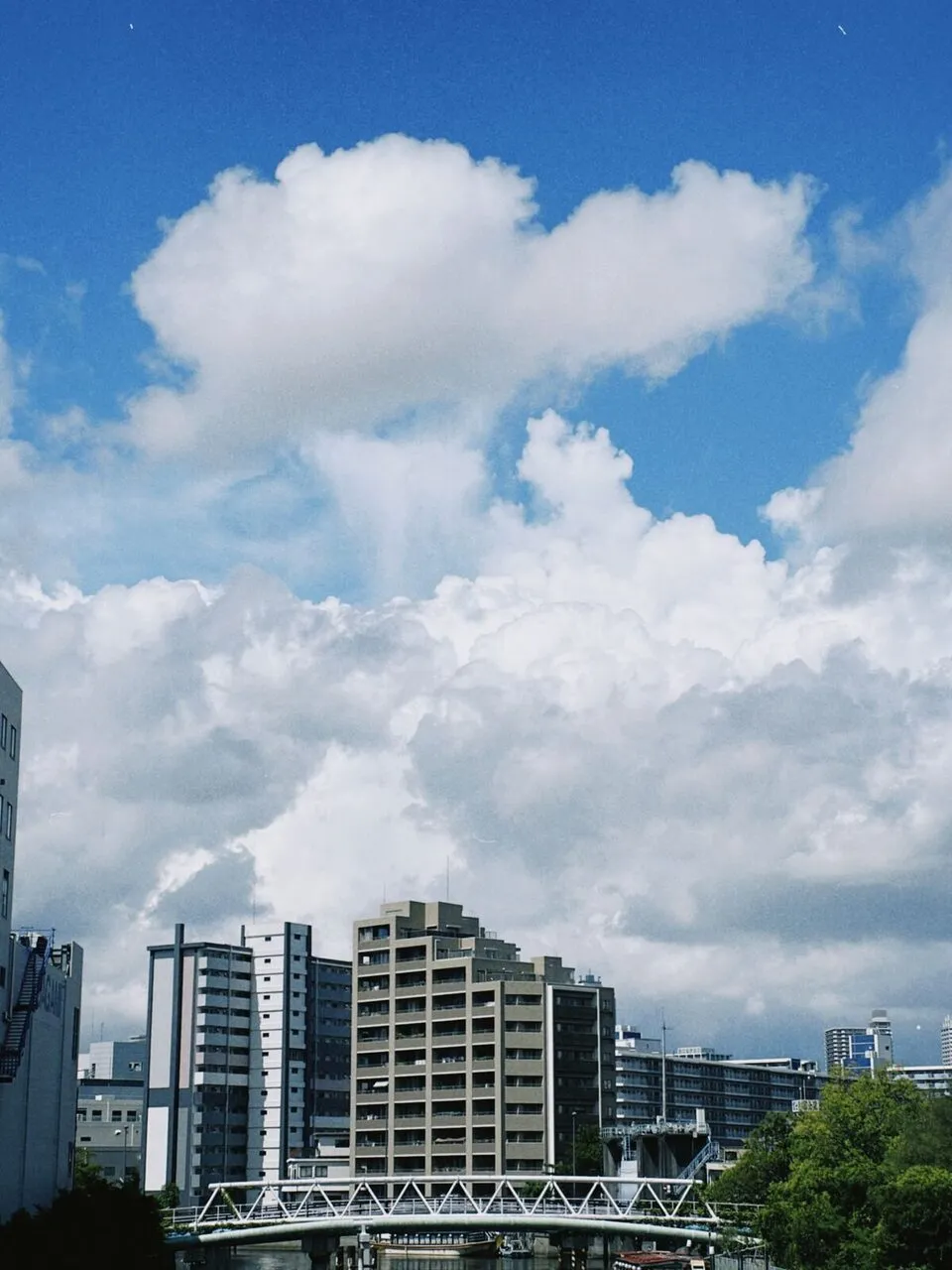 No.016 多湿 2023