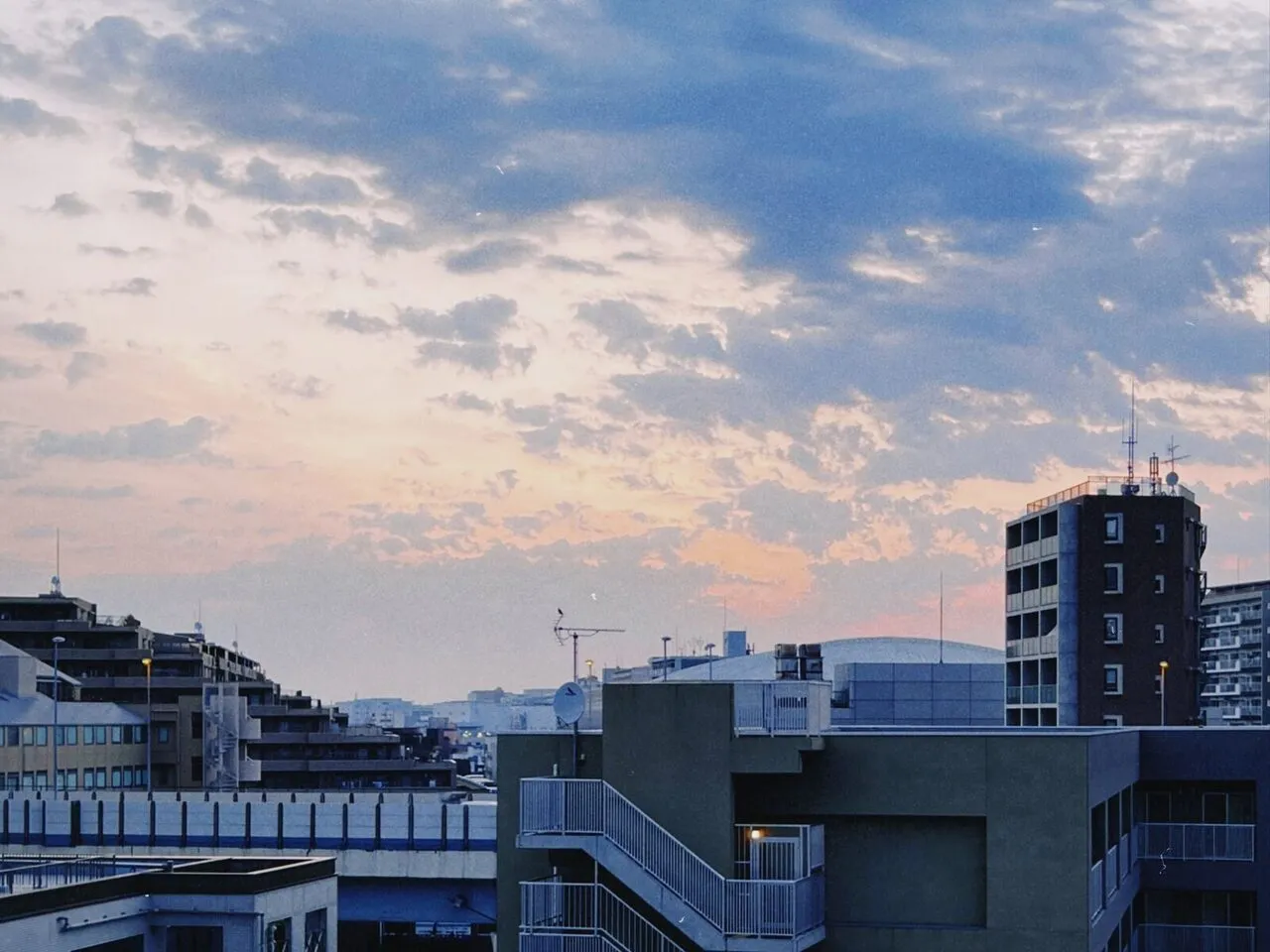 No.041 生存 2023