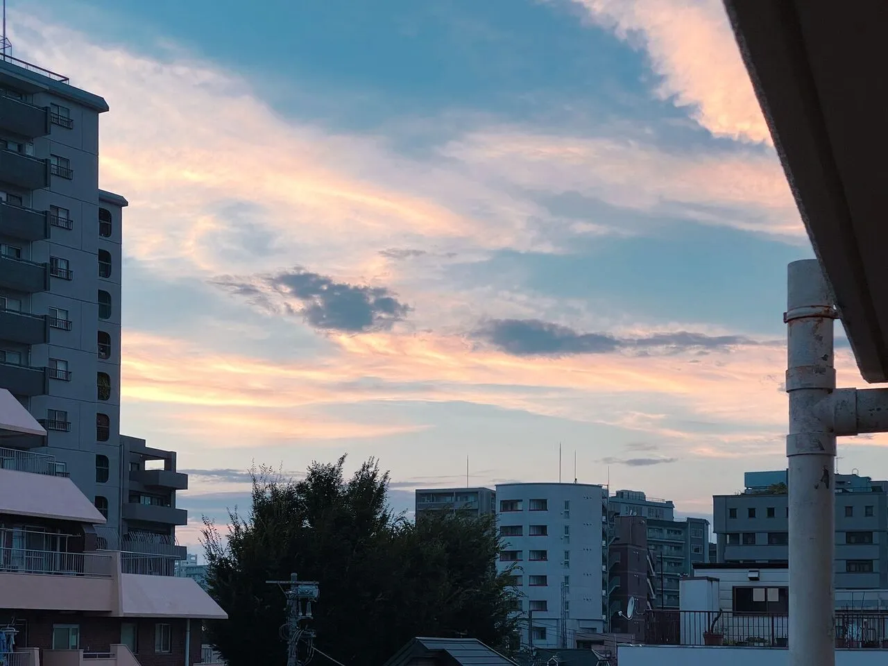 No.078 天体 2025