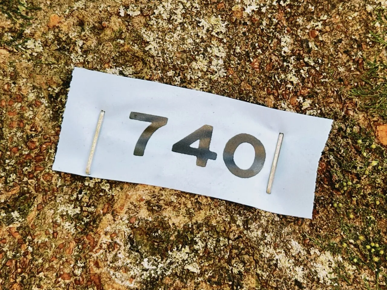 No.121 識別 2025